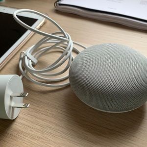 google home